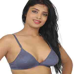 Panchsheel Park Escorts