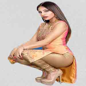 Punjabi Escorts